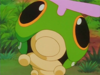 Caterpie