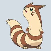 Furret